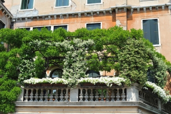 Balkon Sichtschutz mit Pflanzen - Balkonideen