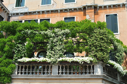 Balkon Sichtschutz mit Pflanzen
