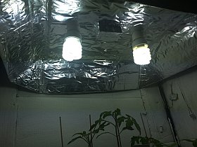 Pflanzenanzuchtstation selber bauen reflektor
