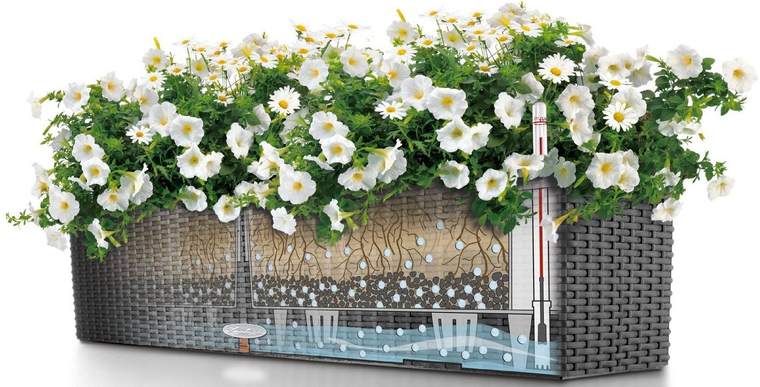 Balkonkästen ProfiTipps auf IdeenBalkon.de