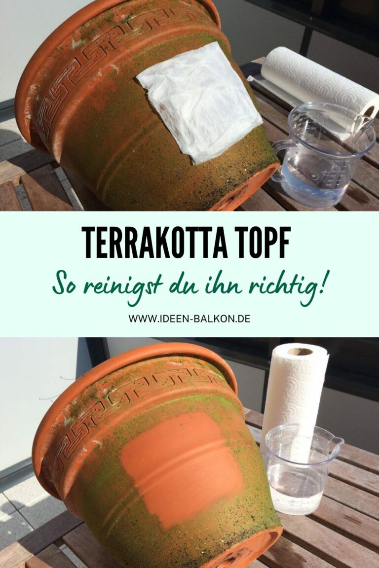 Terrakotta Tpfe Reinigen