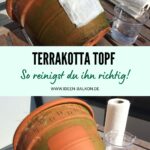 Terrakotta – Topf richtig reinigen