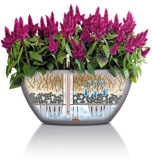 Blumenkasten mit Wasserspeicher Wie funktioniert der Blumenkasten