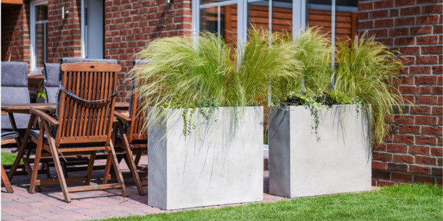 Sichtschutz Idee mit Kübelpflanzen und Gras