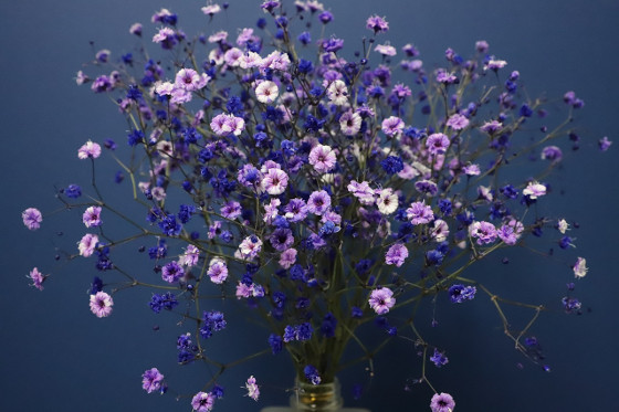 Schnittblumen inszenieren in Vase
