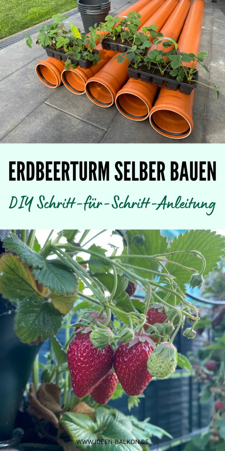 Erdbeerturm selber bauen DIY SchrittfürSchrittAnleitung