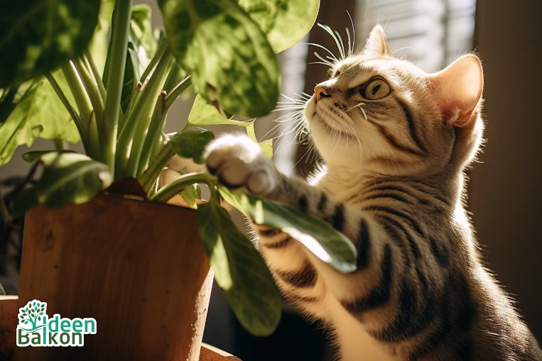 ist die monstera giftig für katzen katze spielt mit pflanze