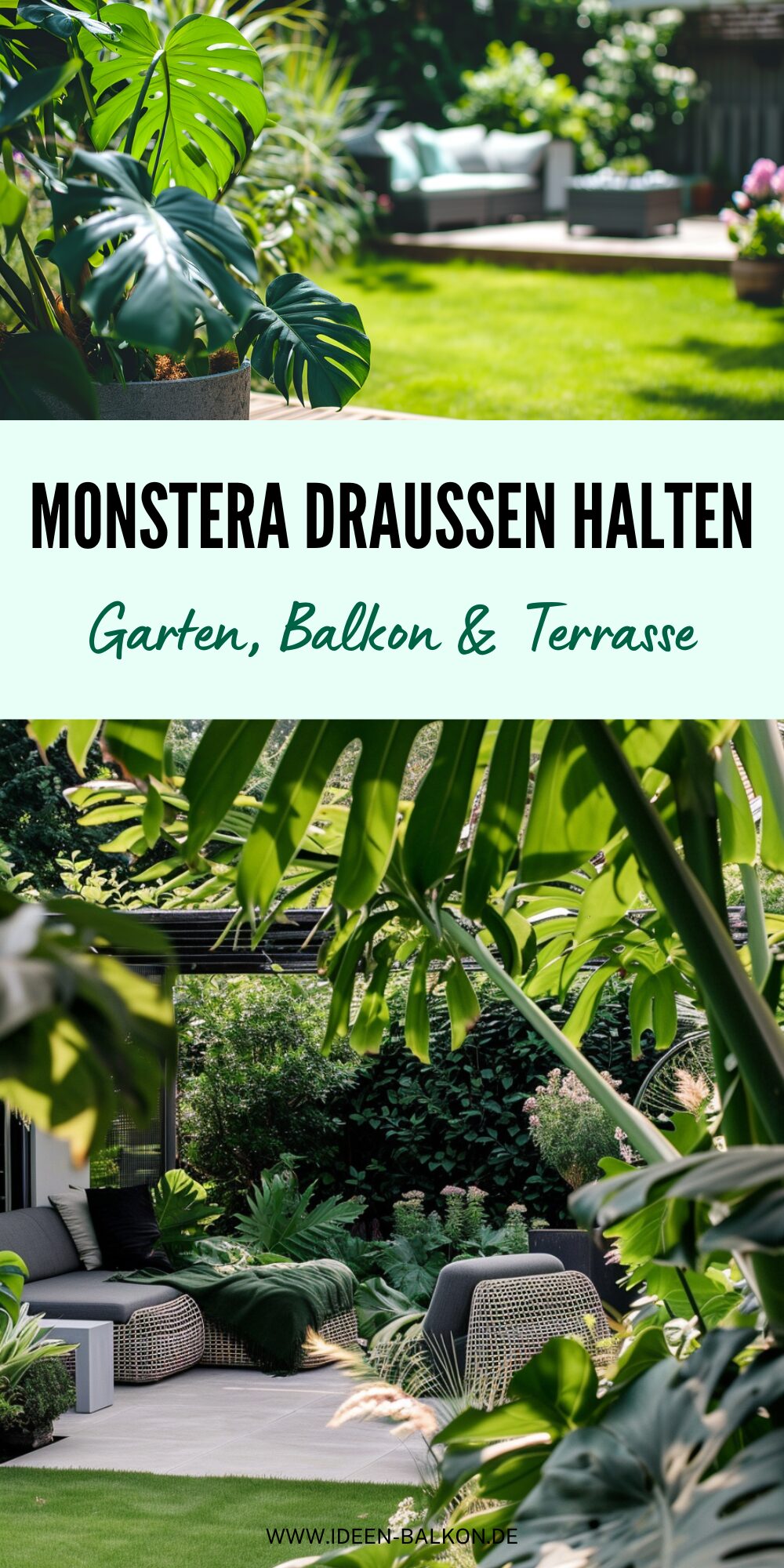 Monstera drauen halten | So einfach funktioniert es!