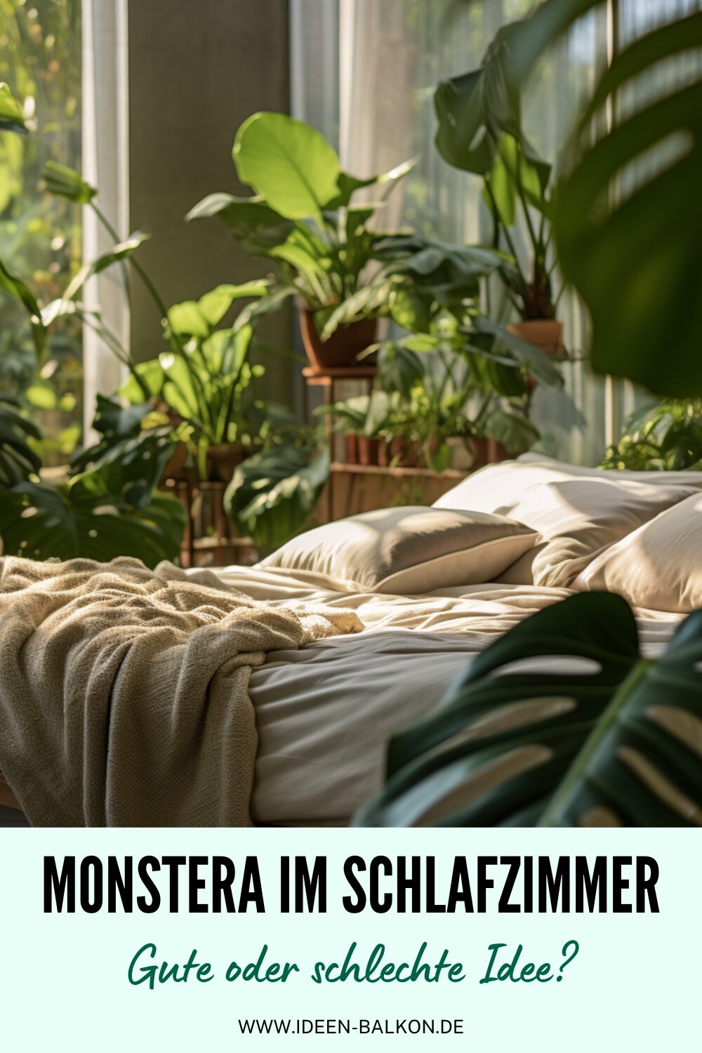 Monstera Deliciosa im Schlafzimmer gut oder schlecht?